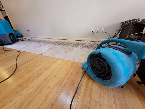 Professional Water Extraction technician working in Asbury, IA
